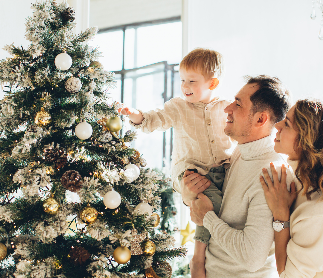 christmas survival guide